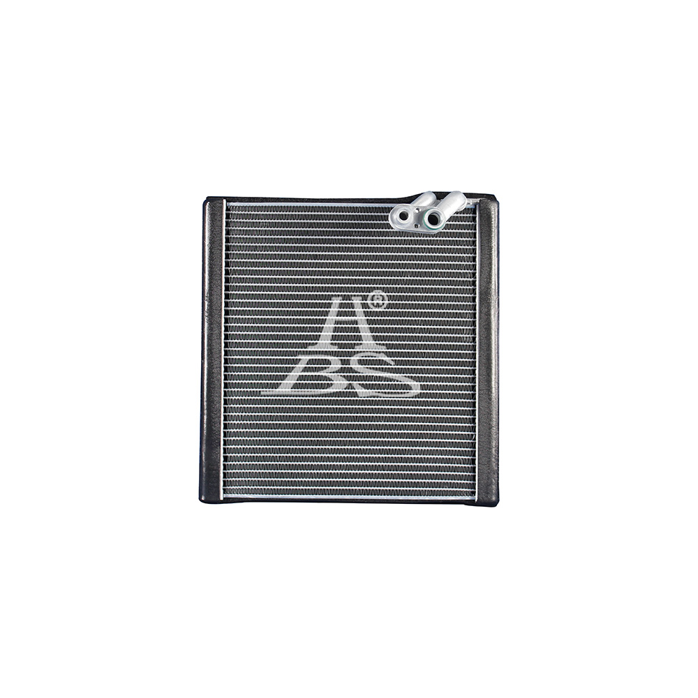 Evaporator For E00129956